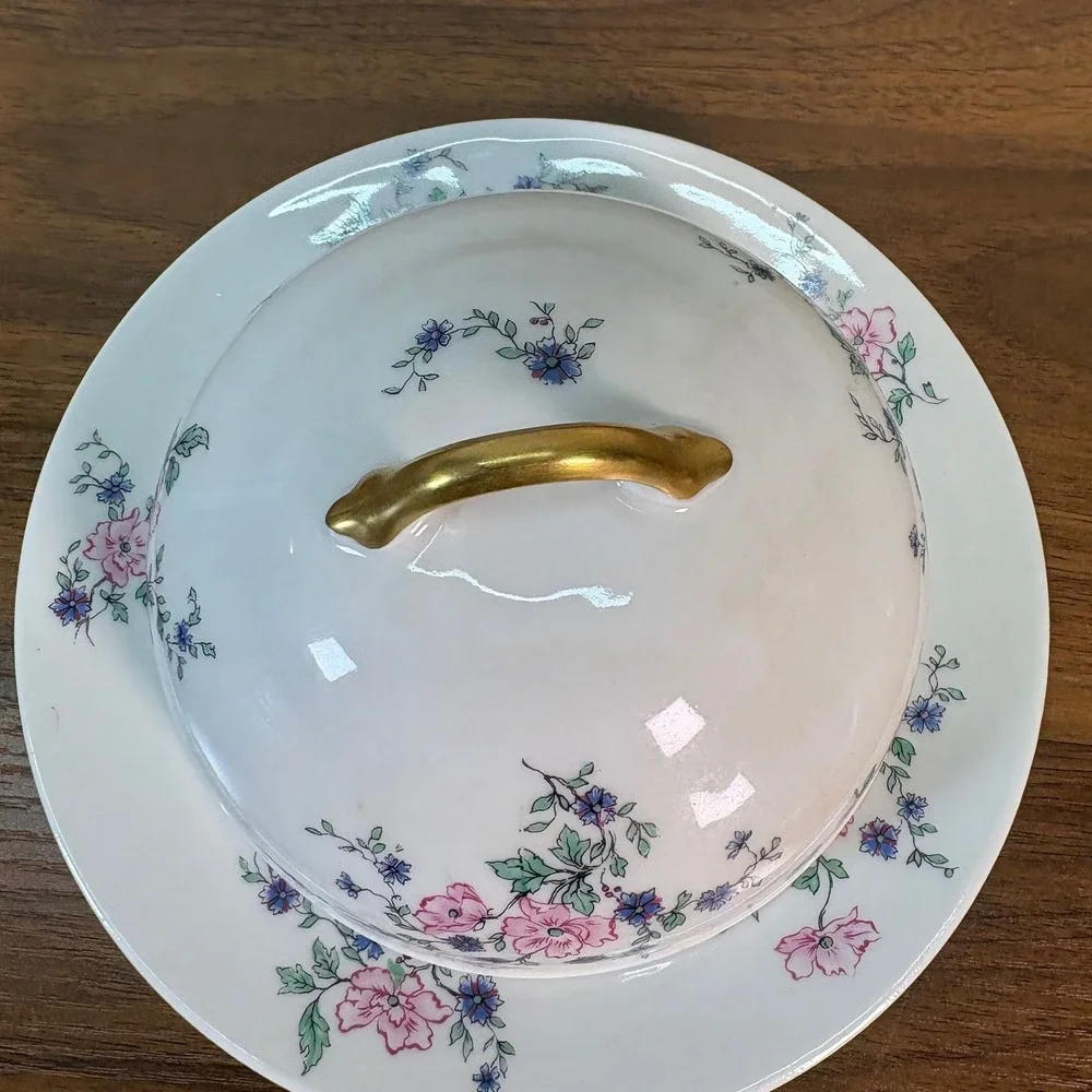 Antique THEODORE HAVILAND LIMOGES HAND‎ PAINTED Porcelain Covered Butter Dish
